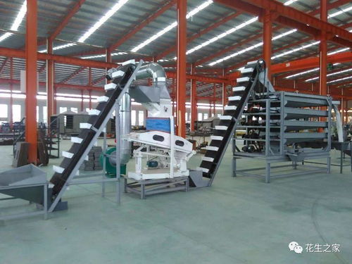青岛枫林花生机械 专业机械设备，驱动产业升级